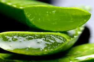 gel di aloe vera